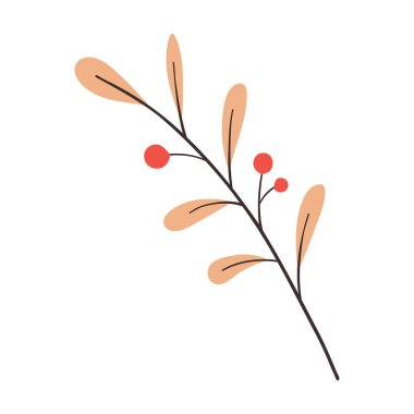 Beyaz arka planda izole edilmiş kırmızı yabani böğürtlen filizi. Yaban mersini, böğürtlen, yaban mersini dalının düz çizimi