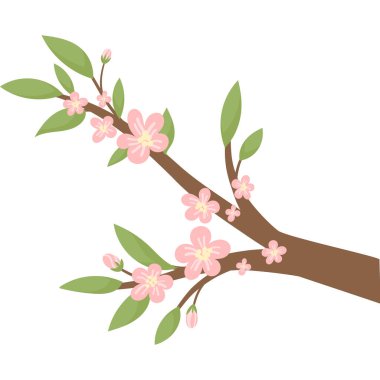 Çiçekli ağaç dalı, beyaz arka planda izole edilmiş. Vektör illüstrasyon yay klipsi sanatı düz stil. Japonya 'nın kiraz çiçekleri, çiçek açan sakura dalları pembe çiçeklerle