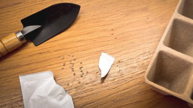 Küçük, dayanıklı bir kürek, buruşuk, kırık bir kağıt parçasıyla birlikte ahşap bir masanın üzerinde duruyor.