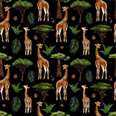 Suluboya zürafaları olan kusursuz bir desen şeffaf bir arkaplanda izole edilir. Afrikalı hayvanlarla suluboya tarzında desen.