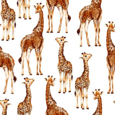 Suluboya zürafaları olan kusursuz bir desen şeffaf bir arkaplanda izole edilir. Afrikalı hayvanlarla suluboya tarzında desen.