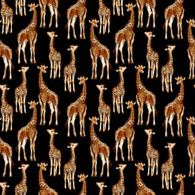 Suluboya zürafaları olan kusursuz bir desen şeffaf bir arkaplanda izole edilir. Afrikalı hayvanlarla suluboya tarzında desen.