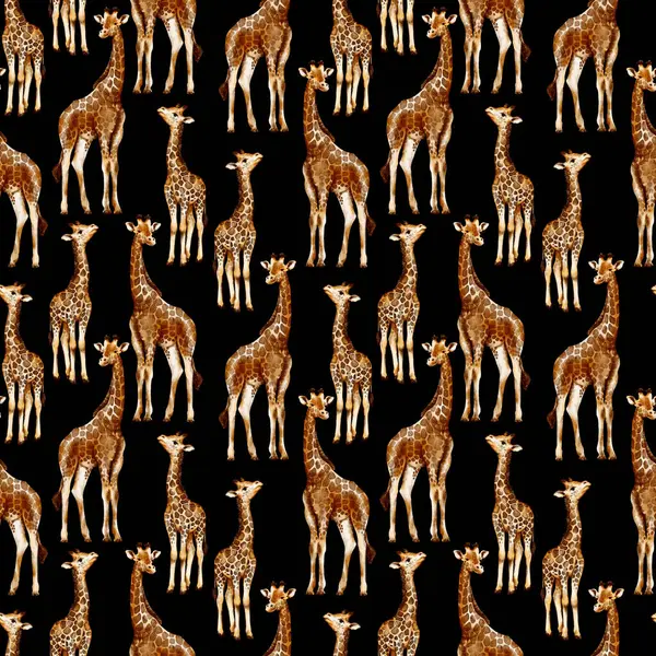 Suluboya zürafaları olan kusursuz bir desen şeffaf bir arkaplanda izole edilir. Afrikalı hayvanlarla suluboya tarzında desen.