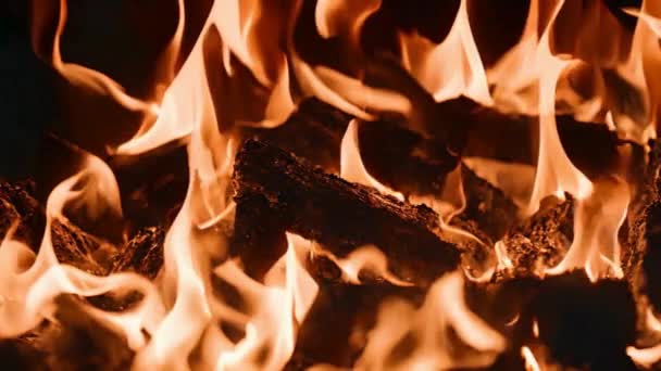 Faszén Égett Egy Forró Tűz Fekete Háttér — Stock videók
