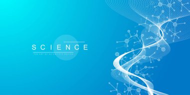 Moleküler soyut yapı arka planı. Molekül DNA 'lı bilimsel vektör çizimi. Pankart şablonu veya başlığı için tıbbi, bilim ve teknoloji kavramı