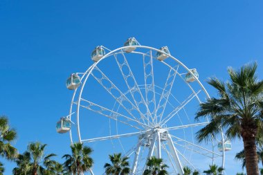 Giant white Ferris wheel with palm trees around it