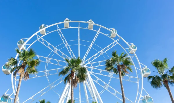 Puerto Marina, Benalmadena, Malaga 'daki palmiye ağaçları ve dev dönme dolap manzarası