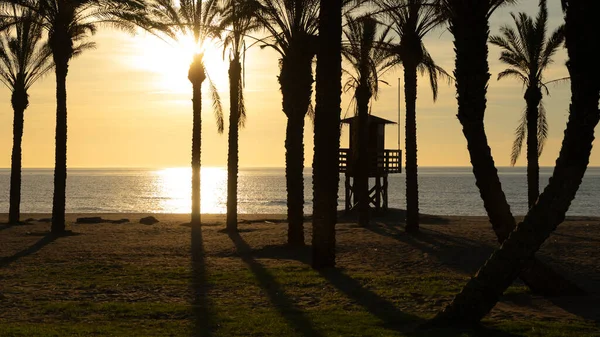 Torre Salvavidas Amanecer Día Soleado Tranquilo —  Fotos de Stock