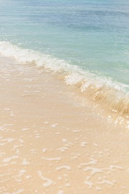 Turks ve Caicos adalarında turkuaz suyu olan insanların olmadığı bir sahil tasviri