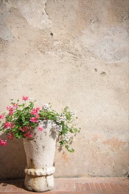 Kopya alanı olan çiçek saksısı