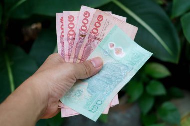 Thai baht money in hand on green leaves background, for payment concept.