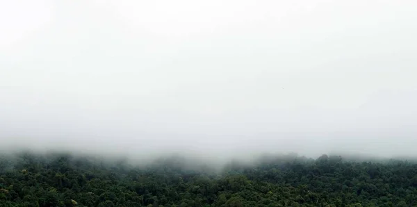 Une Vue Sur Forêt Tropicale Avec Brouillard Matin Sur Montagne — Photo