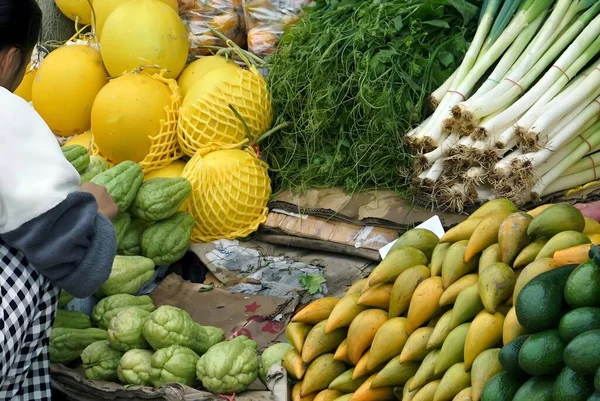 Een Toerist Het Winkelen Van Een Groenten Fruit Gemeenschap Markt Rechtenvrije Stockfoto's