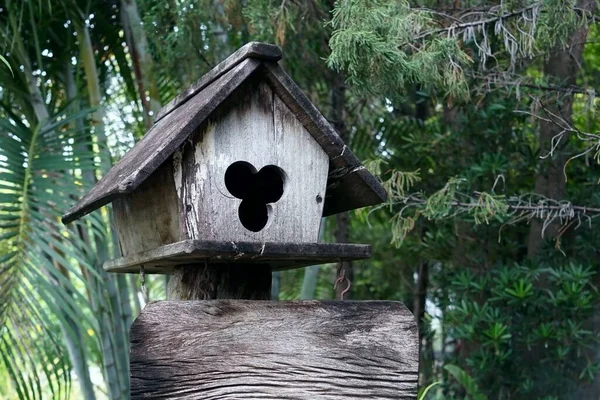 Bahçede Içi Boş Eski Ahşap Bir Kuş Evi Klasik Stlye — Stok fotoğraf