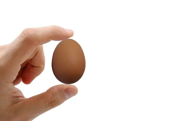 Ένα Χέρι Κρατώντας Ένα Καφέ Αυγό Απομονωμένο Λευκό Φόντο Διατροφικές — Φωτογραφία Αρχείου