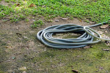 Bahçede yeşil çimenler ve yerde su birikintisi var..