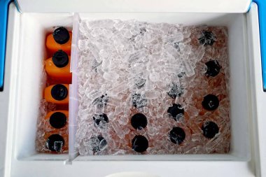 Buzdolabındaki portakal suyunu bol bol kapat.