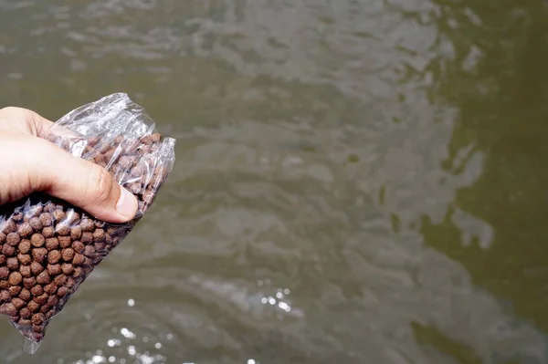 Mão Segurando Saco Plástico Com Comida Dryfish Para Deu Peixe — Fotografia de Stock