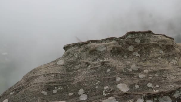 Туман Густо Падає Рухається Вершину Гори Через Велику Скелю — стокове відео