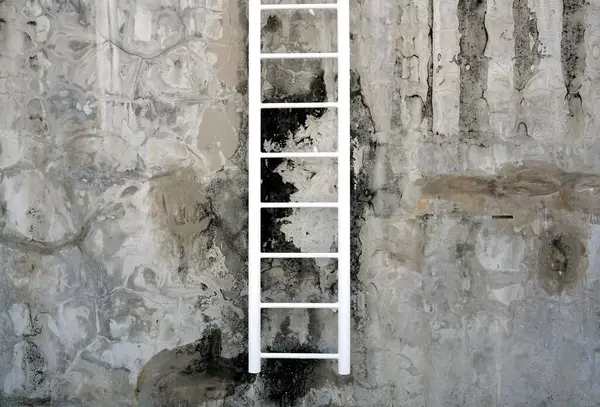 Witte Ladder Een Vintage Cement Muur Stijl Korstmos Water Natuurlijke Rechtenvrije Stockafbeeldingen