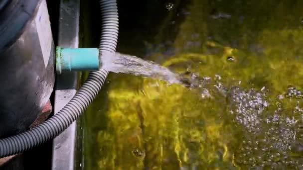 Systém Filtrace Vody Přidávající Vody Kyslík Uvnitř Rybníka Zahradě Kavárny — Stock video