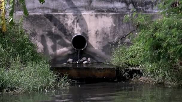 Трубы Сточных Вод Завода Канал Концепции Окружающей Среды — стоковое видео