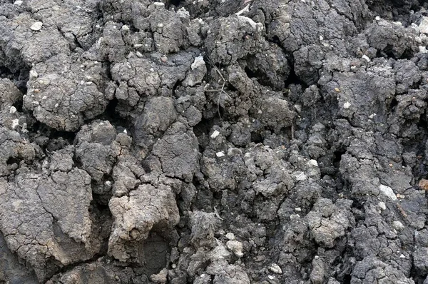 A pile of soil in the construction site, pollution of the environment.