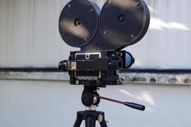 Beton arka planında yeşil bitki olan tripodlu klasik bir film kamerası..