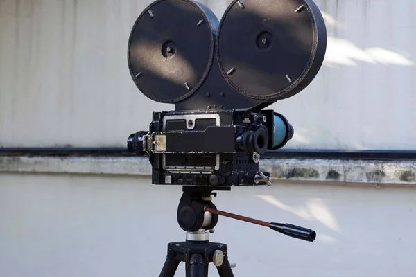 A vintage movie camera on tripod with green plant on concrete wall background.