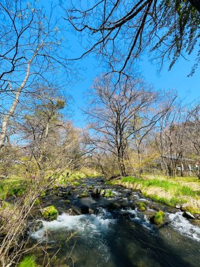 Landscape of the river and park natural scenery of the Hoshino area of Karuizawa, Japan. with blue sky background clipart