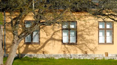 Norveç, Oslo 'da ağaç önplanlı klasik sarı duvar mimarisi