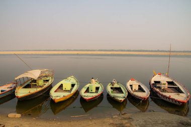 Dayanıklı bir ağaç, huzurlu bir manzaranın ortasında dimdik durur. Kalın dalları geniş bir alana yayılarak geniş bir gölge oluşturur.. 