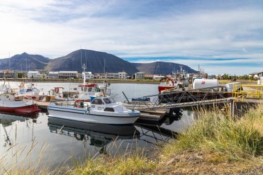 Pingeyr İzlanda 'nın Isafjardarbaer belediyesine bağlı bir sahil köyüdür. Westfjords Yarımadası 'nın dağlık yarımadasında bulunan Dyrafjordur firavunun kıyısında yer alır. Etrafı gezmeyi teklif ediyor.