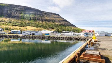 Pingeyr İzlanda 'nın Isafjardarbaer belediyesine bağlı bir sahil köyüdür. Westfjords Yarımadası 'nın dağlık yarımadasında bulunan Dyrafjordur firavunun kıyısında yer alır. Etrafı gezmeyi teklif ediyor..