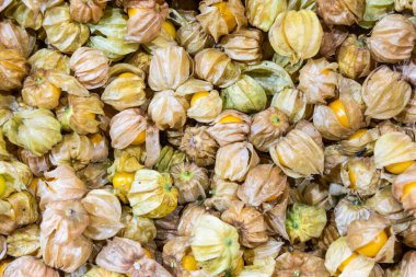 Kuzey Tayland, Pai 'deki markette derisi bozulmamış bir kaz sürüsü.