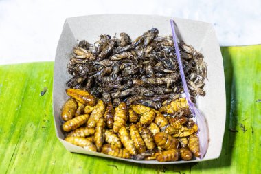 Kızarmış ipek kurdu Kuzey Tayland 'da popüler bir sokak yiyeceğidir..