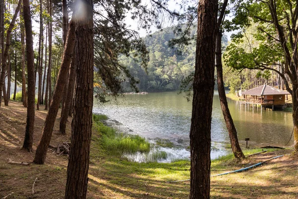 stock image Pang Ung is a tourist attraction in Mae Hong Son province, Northern Thailand with scenic alpine lake and pine trees. Tourist can rent a tent to camp and enjoy the environment.