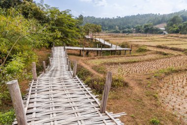 Pai Buddha bambu köprüsü veya Boon Ko Ku pirinç tarlalarından geçerek küçük bir tapınağa kadar 800 metre uzunluğunda bambu yolu uzanıyor. Kuzey Tayland, Pai 'de turizm eğlencesi.