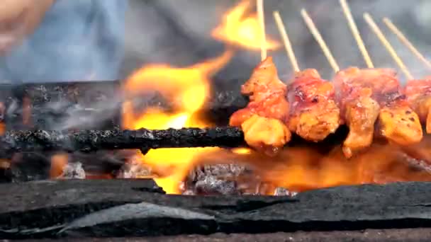 Nahaufnahme Von Rindfleisch Und Chicken Satay Das Mit Traditioneller Grube — Stockvideo