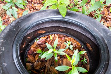Terk edilmiş lastik lastiklerine yakın plan kapanlar hala su ve aedes zika sivrisineği, dang ve sıtma hastalığı kaynakları için üreme alanı.