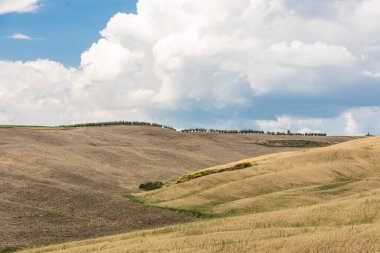 Picturesque landscape of Tuscany countryside in Italy with golden rolling hills with isolated cypress trees against blue sky