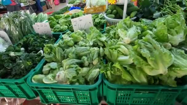 Разнообразие Свежих Органических Овощей Продажи Традиционном Мокром Рынке Куала Лумпур — стоковое видео