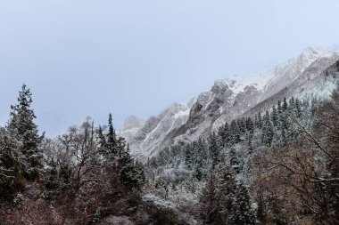 Sichuan Çin 'deki Siguniangshan Ulusal Parkı' ndaki Changping Vadisi 'ndeki karlı dağ sıralarının puslu manzarası.
