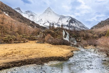 Manzaranın panaromik görüntüsü ve nefes kesici Yading doğası arka planda Yangmaiyong Dağı ile Luorong otlağı, Garze Tibet Özerk Bölgesi, Sichuan, Çin