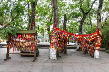 Huanglongzi 'deki popüler bodhi dilek ağacı Sichuan Çin' in antik bir kasabasında turistler tarafından asılmış binlerce dilekle birlikte..