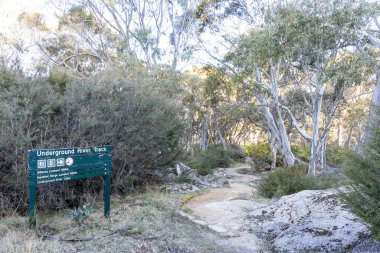 Victoria Avustralya 'daki Buffalo Dağı Ulusal Parkı' ndaki çeşitli gözetleme noktalarına bağlanan yeraltı nehrine doğru yürüyüş yolu.
