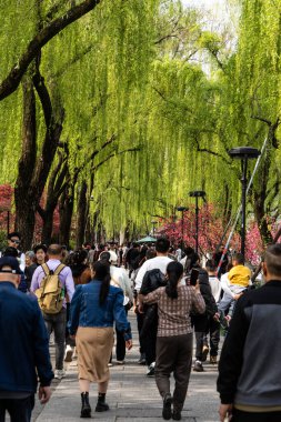 İnsanlar Çin 'in popüler turizm beldesi Hangzhou' nun batı gölünde rahatça dolaşmayı seviyorlar.