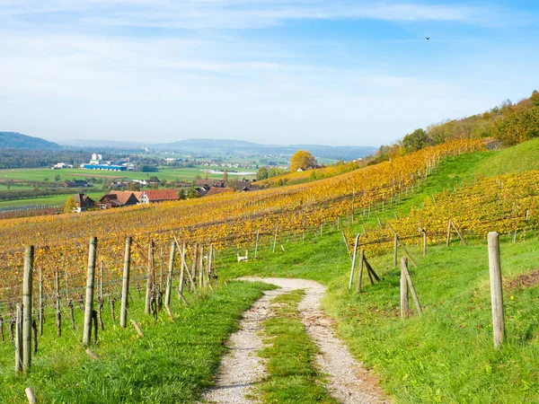 stock image The region around Weinfelden, Switzerland, is a famous wine-growing district. A small dirtroad leading through autumnally coloured vineyards. 