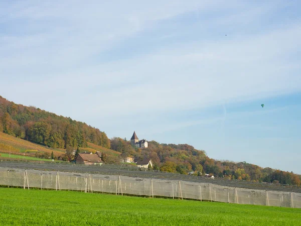 スイスのWeinfeldenに近い秋の色 歴史的な城の前で果物栽培の農業 — ストック写真