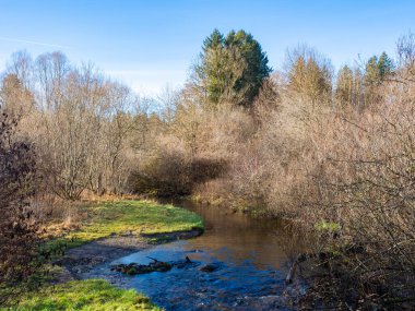 Sonbaharın sonlarında güzel bir günde genç bir ormanın içinden geçen güzel bir nehir.. 